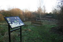 Image 1 for Corston Pond