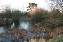 Image 2 for Corston Pond